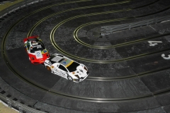 TTCW2014AAV